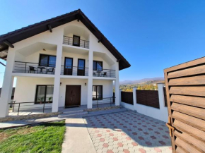 Casa Șandru